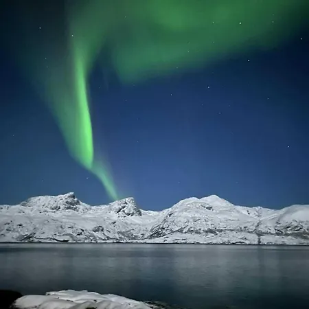 With Midnight-sun And Norhern-light View * Vestvagoy