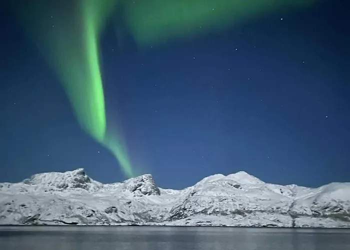 With Midnight-sun And Norhern-light View * Vestvagoy